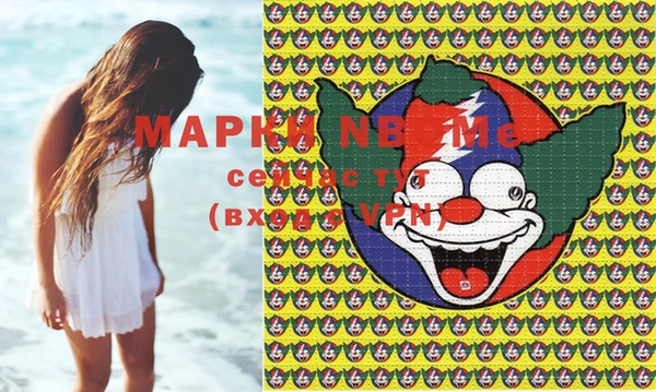 apvp Вяземский