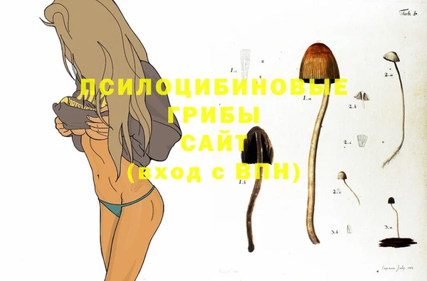 apvp Вяземский
