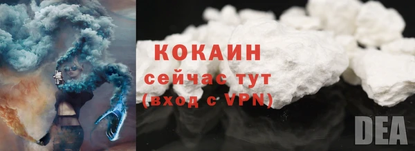 apvp Вяземский