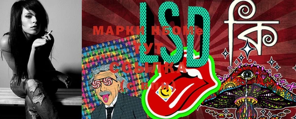 apvp Вяземский