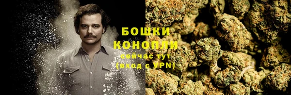 apvp Вяземский