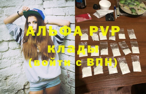 apvp Вяземский