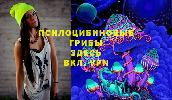 apvp Вяземский
